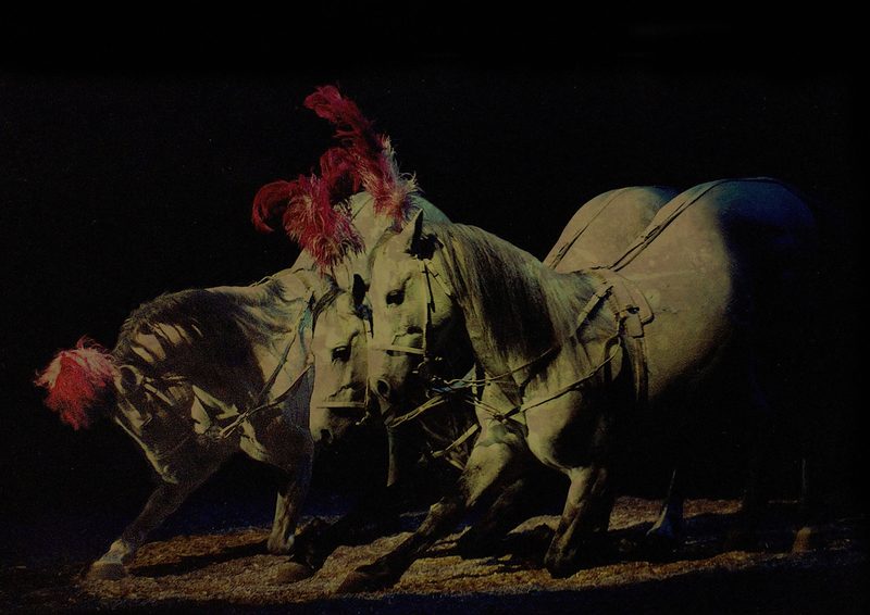Caballos escultóricos con penachos rojos.